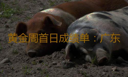 黄金周首日成绩单:广东4A级及以上景区接待游客262.5万人次